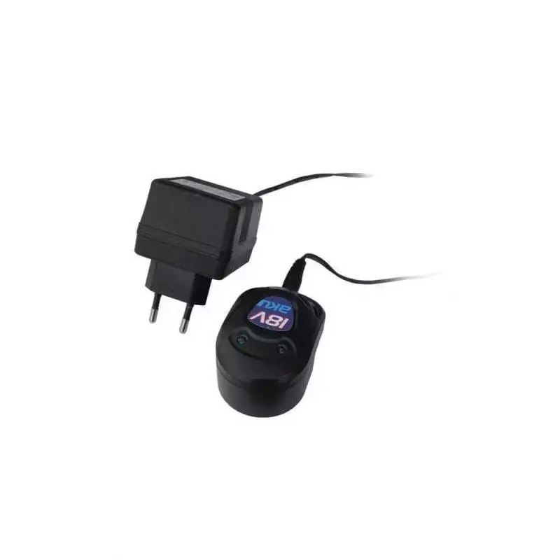 &Icirc;ncarcator lent 18v pt. ded7873b