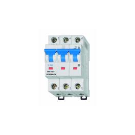 Intreruptor automat C25/3 6kA