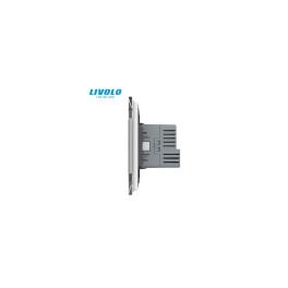 Priza simpla Schuko + slot USB Tip-C, Standard German 2M, cu rama sticla