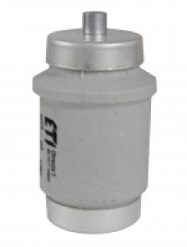 Siguranță div gg 100a/500v