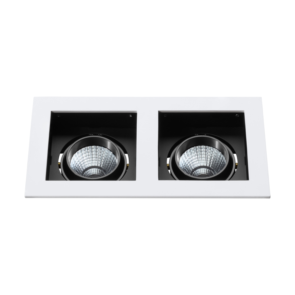 Biscari 2 swivelling IP20 2 x 7W 2700K white IP20