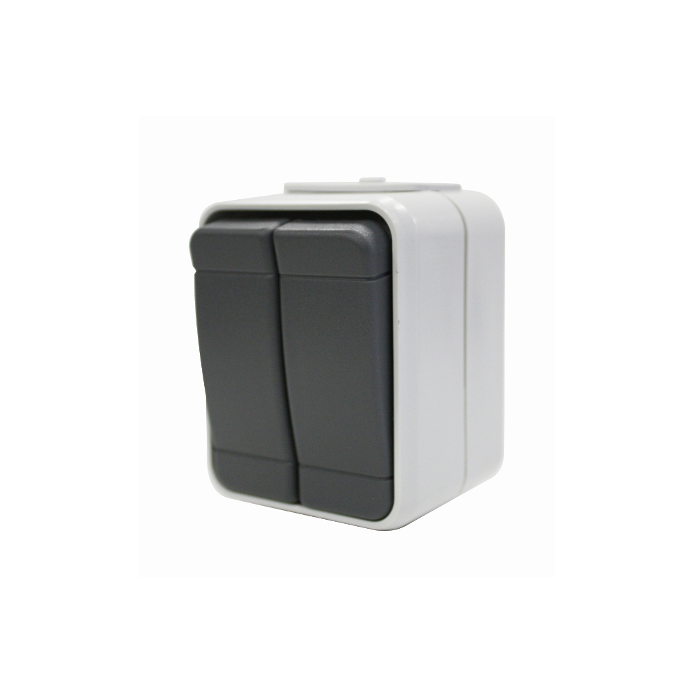 Buton dublu cu revenire IP44, gri/gri