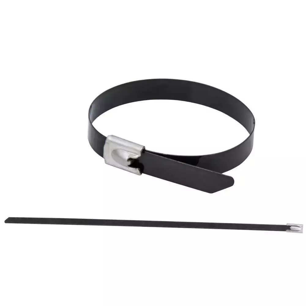 Cleme coliere din otel inoxidabil pe, 4.6x200mm, ss304, 20