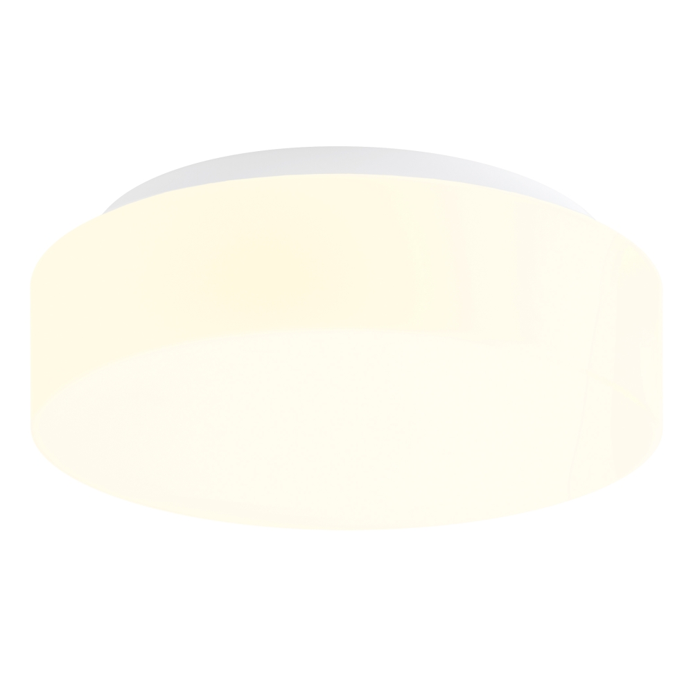 ELSA 2 LED 15W 2030lm 4000K IP44, Wall, ceiling lamps