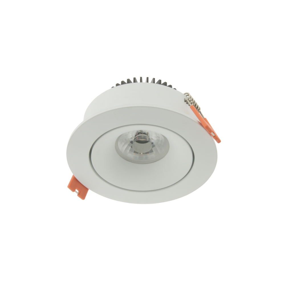 LED Downlight 100 - IP43 | CRI/RA 97 (Kardanisch) Warmwhite