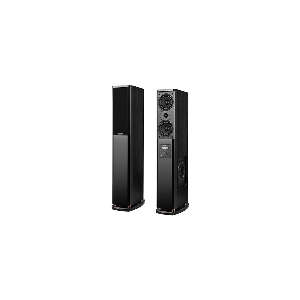 SISTEM AUDIO PASSION NEGRU KRUGER&MATZ