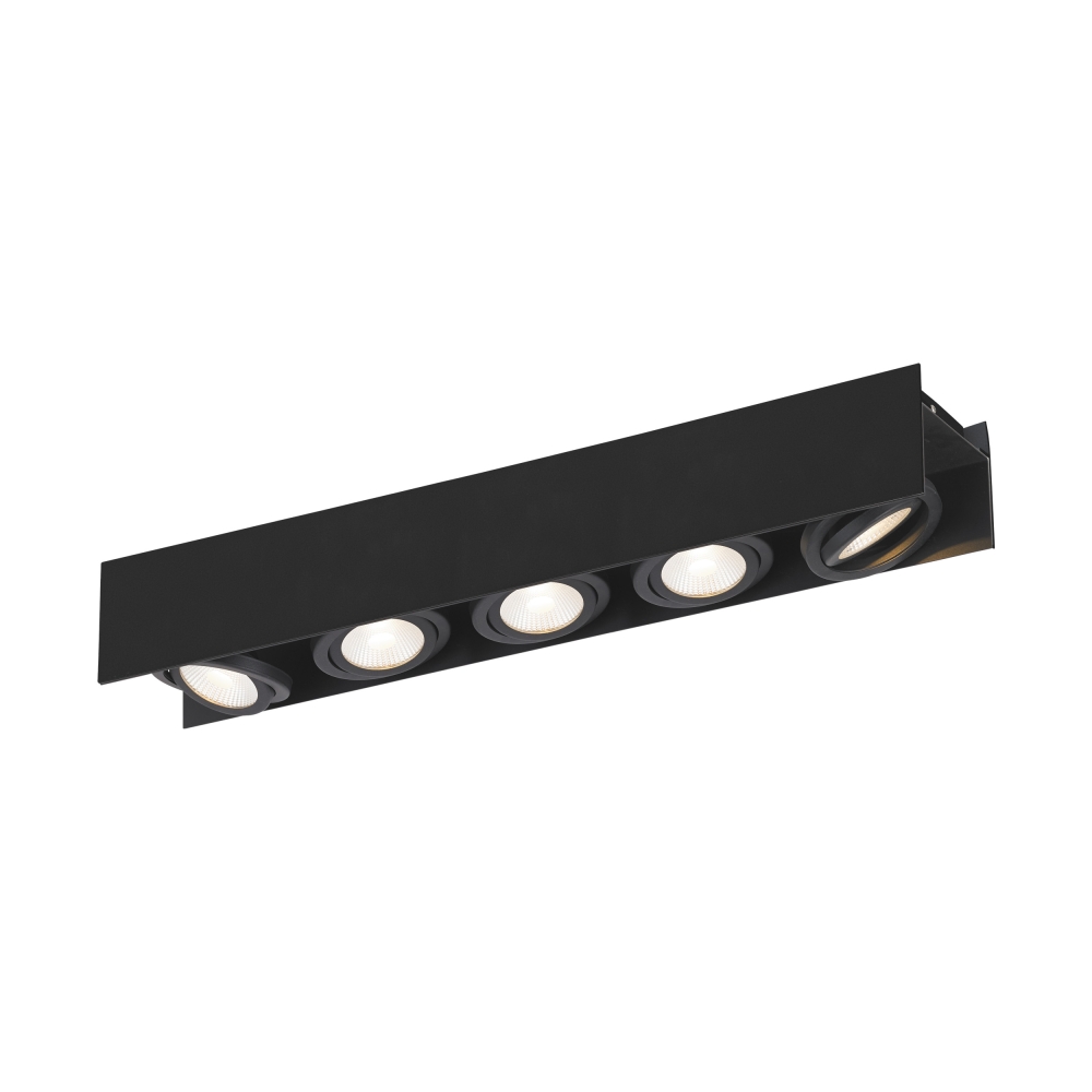 Vidago Pro / 5flg., DALI dimmable 5x9W 4000K black IP20